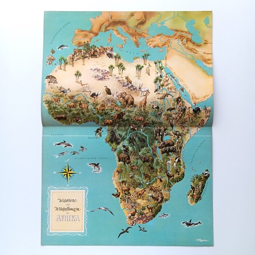 1951 afrika bildtafel - 1951,