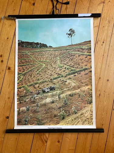 Schulwandkarte teeplantage in - schulwandkarte, "teeplantage